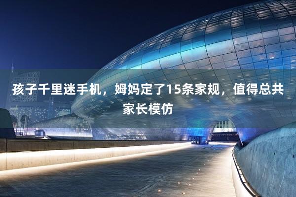 孩子千里迷手机，姆妈定了15条家规，值得总共家长模仿