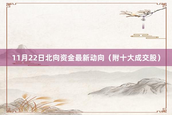 11月22日北向资金最新动向（附十大成交股）