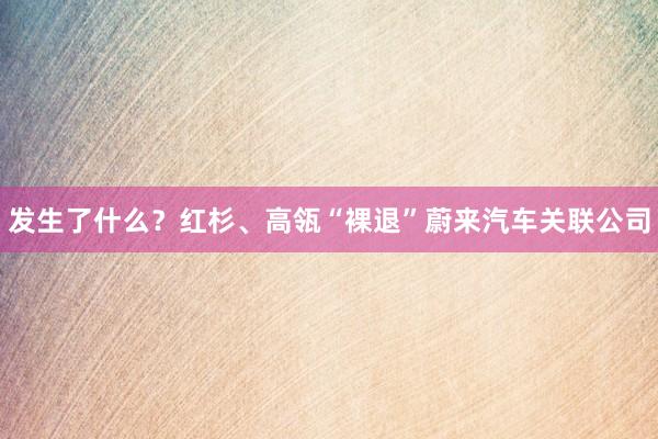 发生了什么？红杉、高瓴“裸退”蔚来汽车关联公司