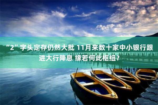 “2”字头定存仍然大批 11月来数十家中小银行跟进大行降息 缘若何此枢纽？
