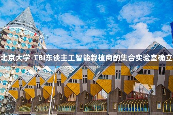北京大学-TBI东谈主工智能栽植商酌集合实验室确立