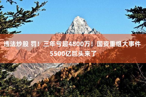 违法炒股 罚！三年亏超4800万！国资重组大事件 5500亿巨头来了