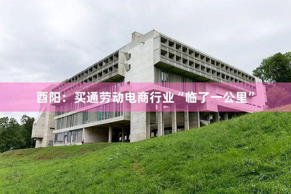 酉阳：买通劳动电商行业“临了一公里”